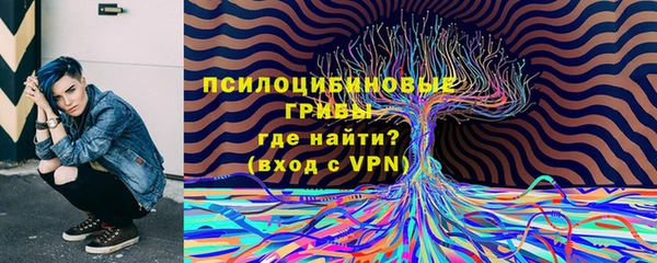 спайс Беломорск