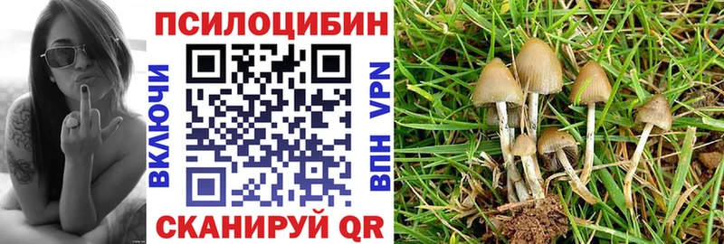 наркошоп  дарк нет официальный сайт  Галлюциногенные грибы GOLDEN TEACHER  Севск 
